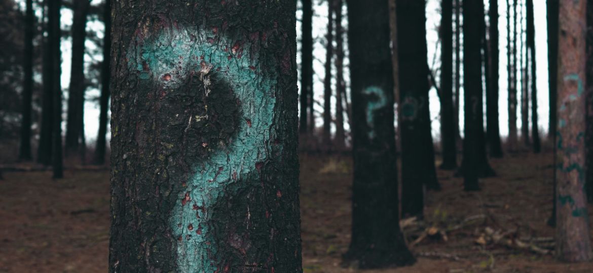 question mark spray painted on a tree