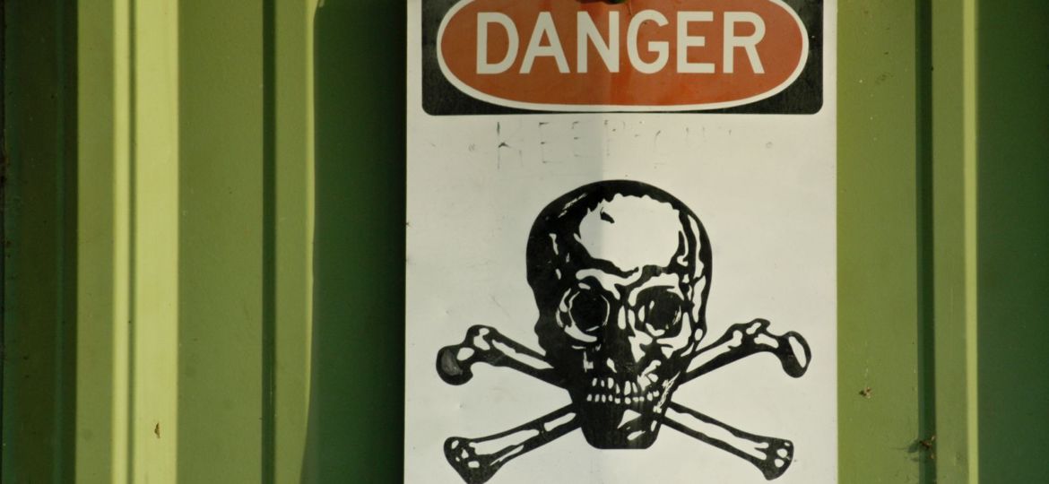 picture of a skull and cross bones with the words danger